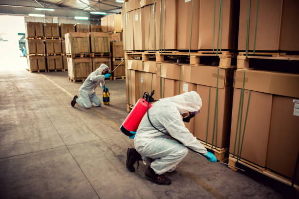 Best Pest Removal Services  in Kihei, HI
