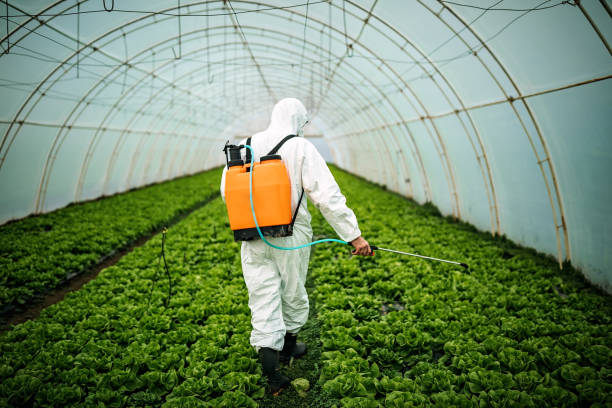 Best Best Pest Control Companies  in Kihei, HI