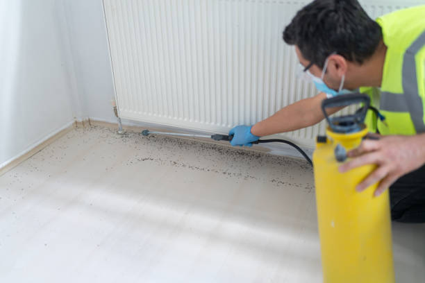 Best Best Pest Control Companies  in Kihei, HI