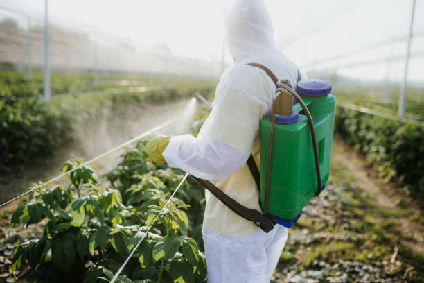 Best Emergency Pest Control  in Kihei, HI